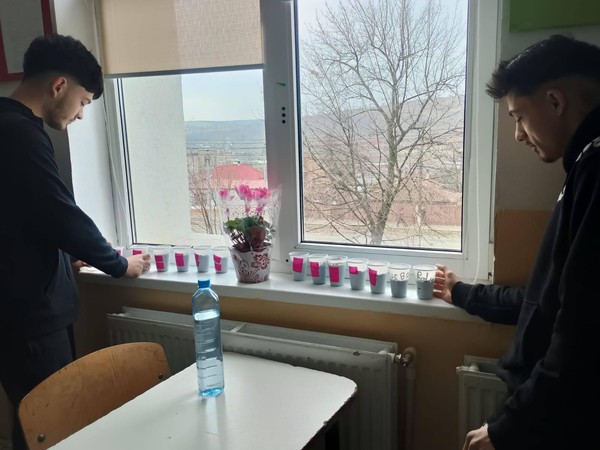 Obținerea și îngrijirea plantelor