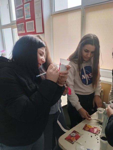 Obținerea și îngrijirea plantelor