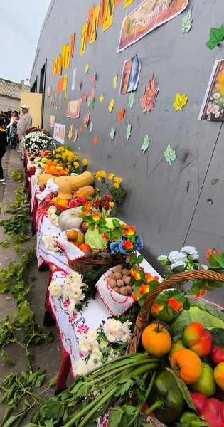 🍂 Festivalul Toamnei la Școala Gimnazială Făurei 🍎